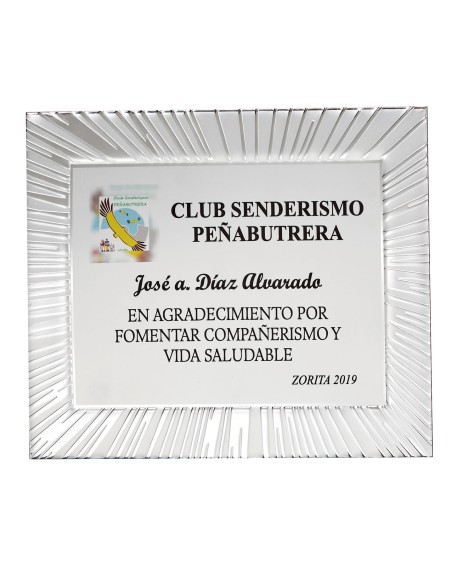 25/26 SOLO PLACA. 18 x 13 CM