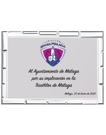 25/26 SOLO PLACA. 12 x 9 CM (E44)(MAD60,MAD11,MAD50)