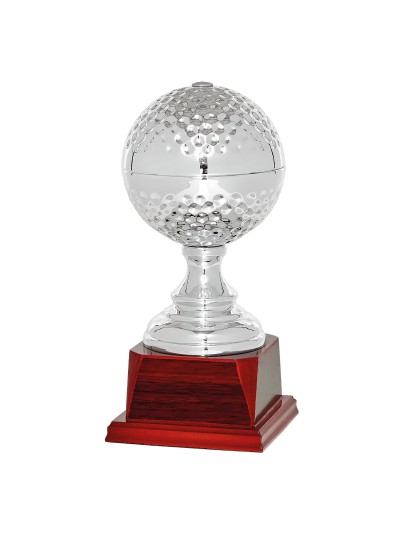 25/26 TROFEO ESPECIAL GOLF