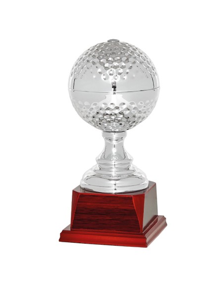 25/26 TROFEO ESPECIAL GOLF