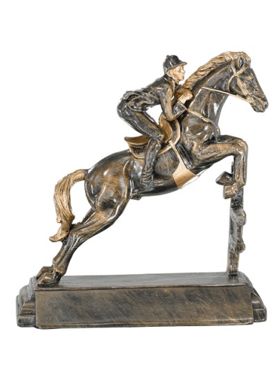 25/26 RESINA EQUITACION 23 CM