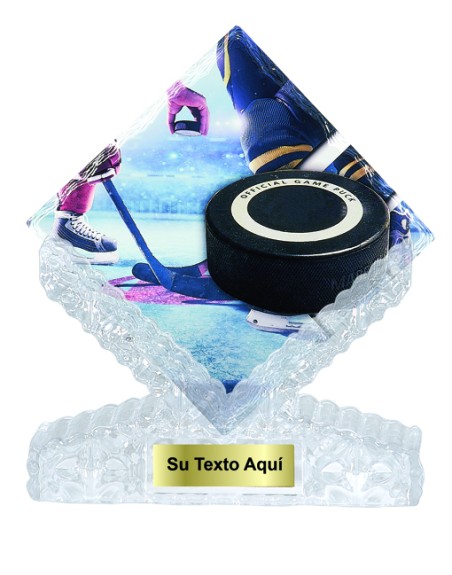 25/26  T. CERAMICA HOCKEY 25 cm