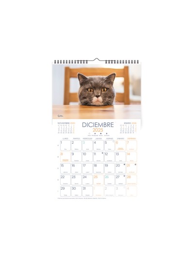 Calendarios liderpapel 2025 pack de 24 unidades diseños surtidos lote
