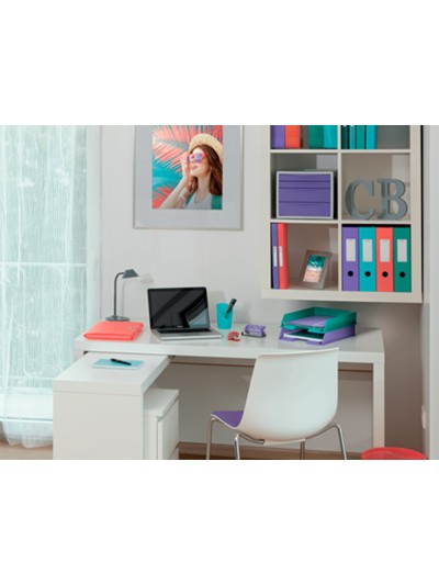 Archivador de palanca esselte colour breeze carton forrado pvc din a4 lomo 75 mm color malva
