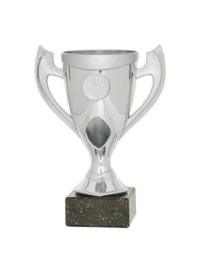 25/26 COPA CATÁLOGO ABS PLATA