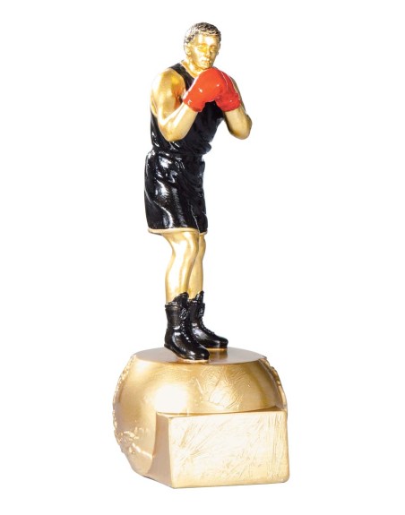 25/26  RESINA BOXEO 20 cm