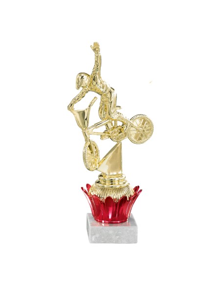 25/26 TROFEO ABS PORTA SERIE D  21 CM