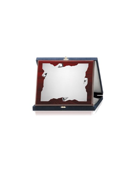 PLACAS SOLDART CON ESTUCHE INCLUIDO 24x19  cm