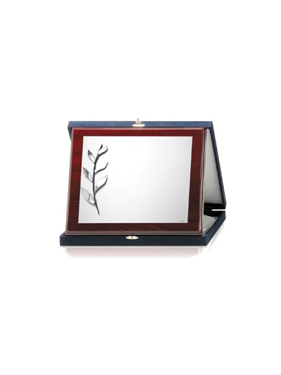 PLACAS SOLDART CON ESTUCHE INCLUIDO 29x23  cm
