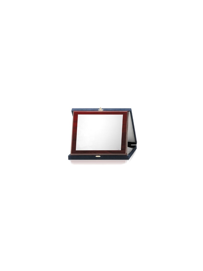 PLACAS SOLDART CON ESTUCHE INCLUIDO 24x19  cm