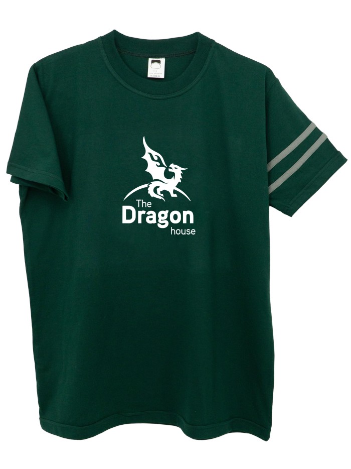 Camiseta casa Dragon verde María Teresa