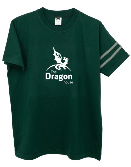 Camiseta casa Dragon verde María Teresa
