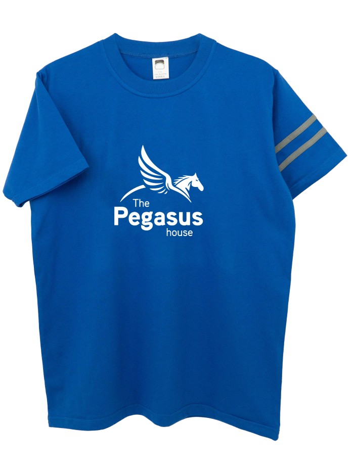 Camiseta casa Pegasus azul María Teresa