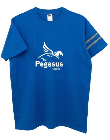 Camiseta casa Pegasus azul María Teresa