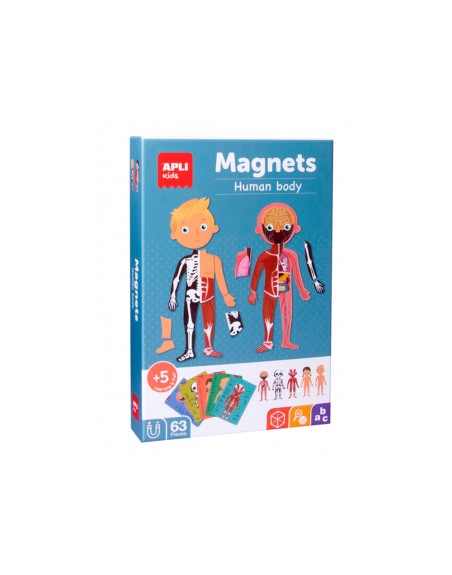 Juego apli didactico magnetico el cuerpo humano