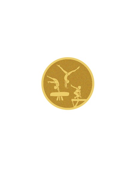25/26 DISCO DORADO AUTOADHESIVA GIMNASIA Ø 2,5 CM