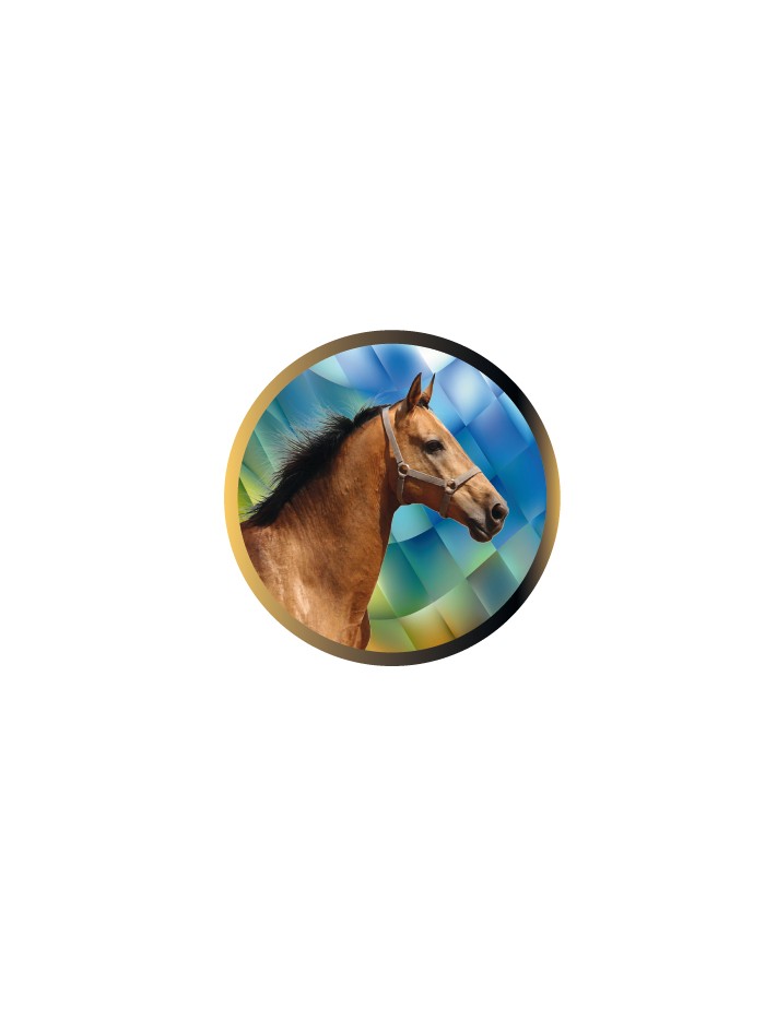 25/26 DISCO EPOXY CABALLO Ø 2,5 CM