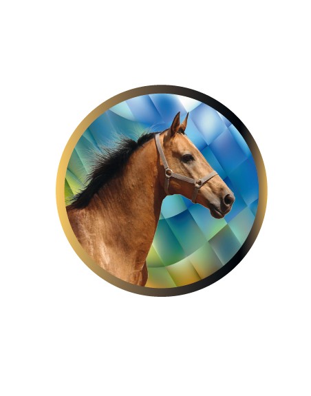 25/26 DISCO EPOXY CABALLO Ø 2,5 CM