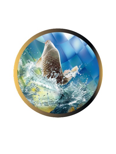 25/26 DISCO EPOXY PESCA Ø 2,5 CM