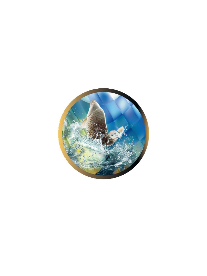 25/26 DISCO EPOXY PESCA Ø 2,5 CM