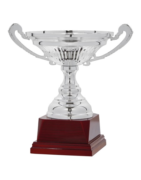 25/26 COPA CATÁLOGO