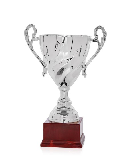 25/26 COPA CATÁLOGO