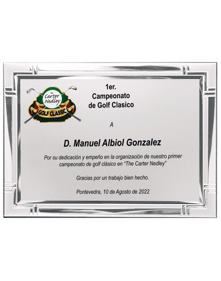 25/26 SOLO PLACA. 20 x 15 CM
