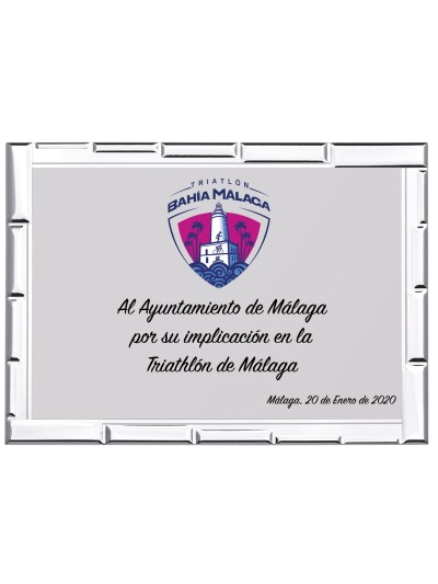 25/26 SOLO PLACA. 12 x 9 CM (E44)(MAD60,MAD11,MAD50)