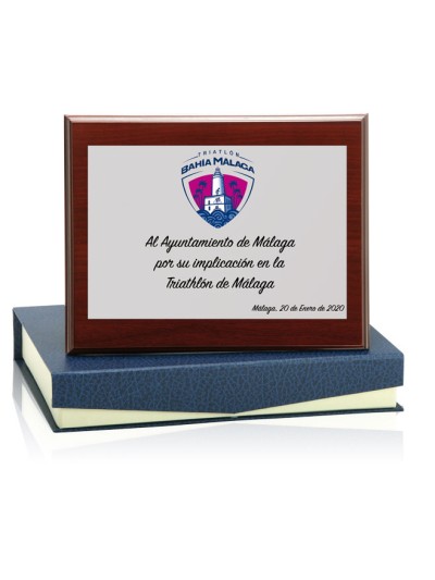 25/26 SOLO PLACA. 11 x 7 CM