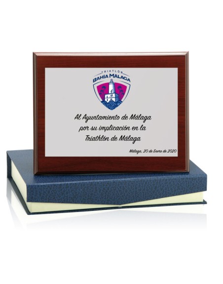 25/26 SOLO PLACA. 11 x 7 CM