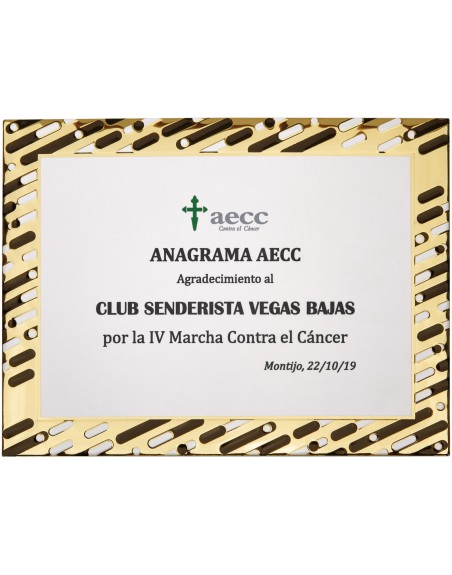 25/26 SOLO PLACA. 18 x 13 CM (E46)(MAD61, MAD12,MAD141,MAD82,MAD51)