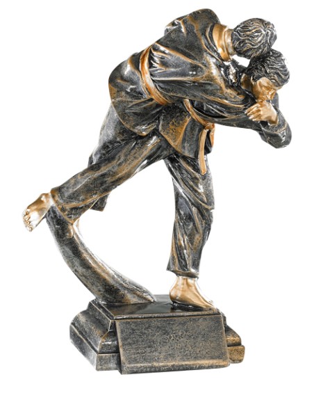 25/26 RESINA JUDO 23 CM