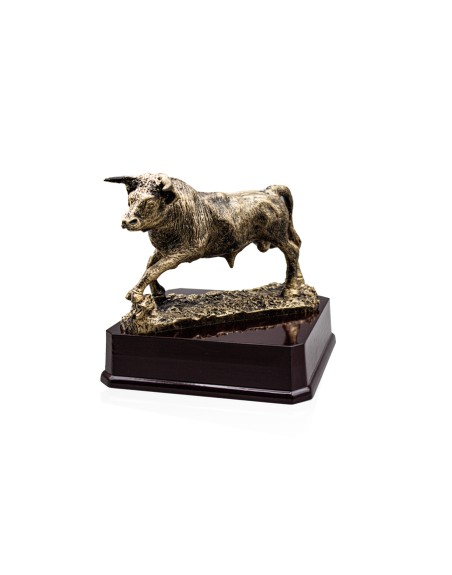 25/26  RESINA TAUROMAQUIA 16 X 16 CM