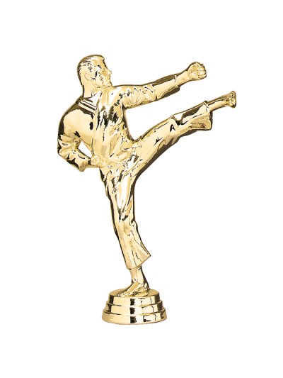 25/26 FIGURIN ABS ARTES MARCIALES