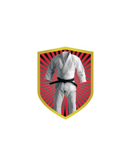 25/26 APLIQUE ALUMINIO KARATE