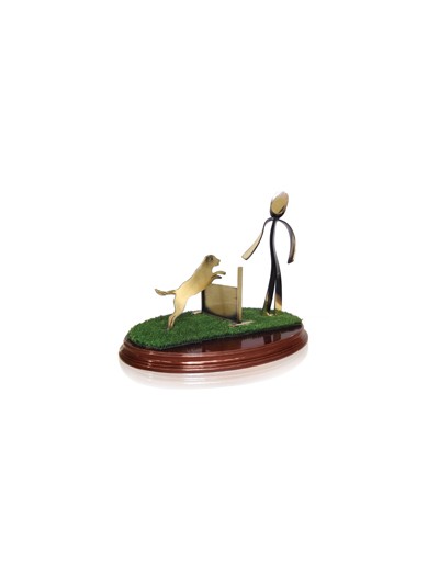 25/26 TROFEO SOLDART AGILITY 23 cm