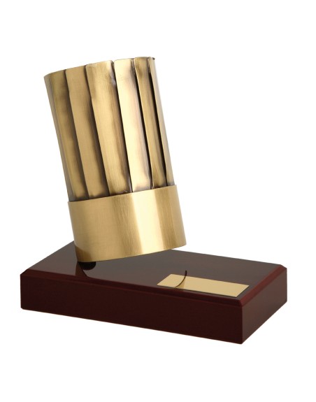 25/26 TROFEO SOLDART COCINA 21 cm