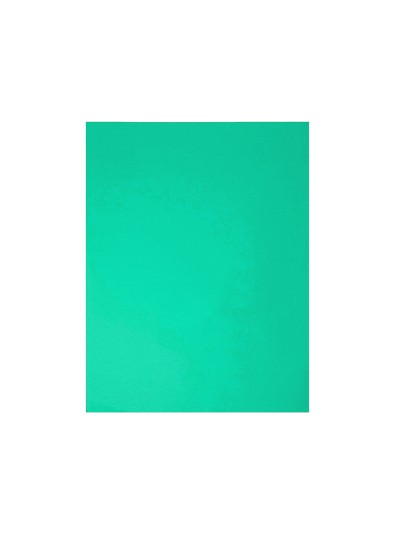 Cartulina guarro verde menta 50x65 cm 185 gr