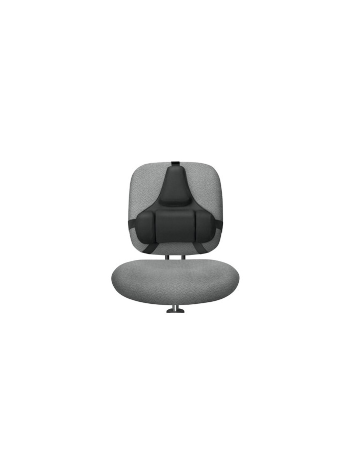 Respaldo ergonomico profesional fellowes Respaldo ergonomico profesional fellowes