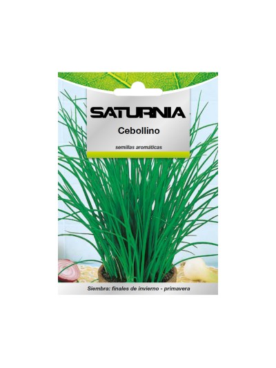 Semillas Aromaticas Cebollino (1 gramo) Horticultura, Horticola, Semillas Huerto.