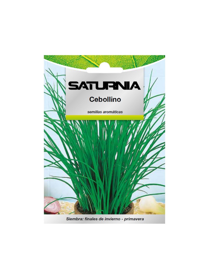 Semillas Aromaticas Cebollino (1 gramo) Horticultura, Horticola, Semillas Huerto.