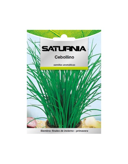 Semillas Aromaticas Cebollino (1 gramo) Horticultura, Horticola, Semillas Huerto.