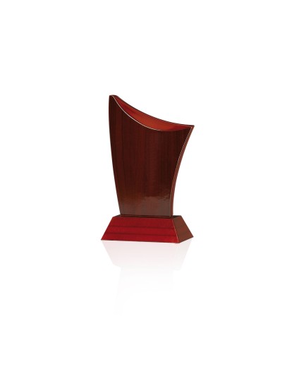 25/26 MADERA GRAB. LASER/UVI 22 CM