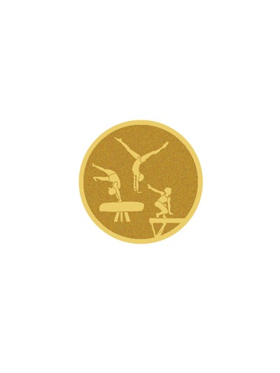 25/26 DISCO DORADO AUTOADHESIVA GIMNASIA Ø 2,5 CM