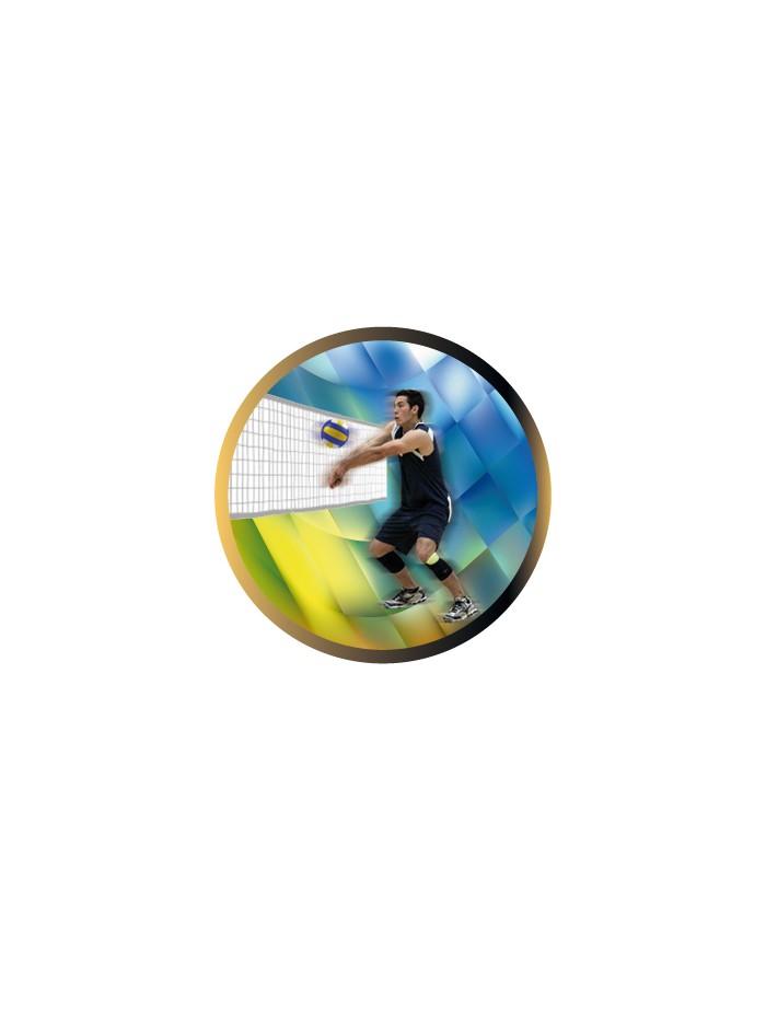 25/26 DISCO EPOXY VOLEYBOL MASCULINO Ø 2,5 CM