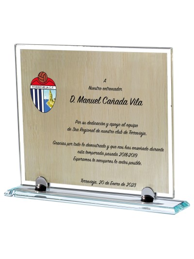25/26 SOLO CRISTAL . 27 X 23 CM (PL1)
