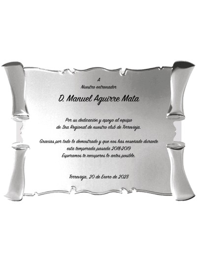 25/26 SOLO PLACA. 18 x 13 CM (E46)(MAD61, MAD12,MAD141,MAD82,MAD51)