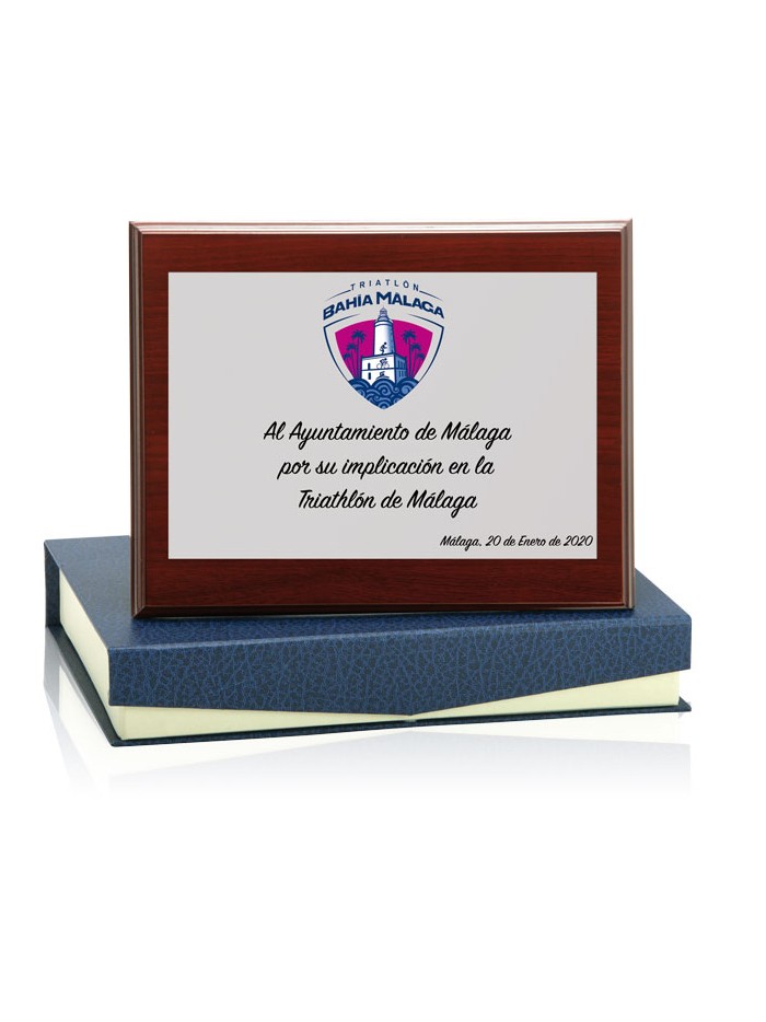 25/26 SOLO PLACA. 11 x 7 CM