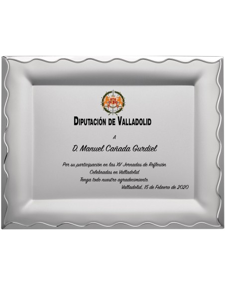 25/26 SOLO PLACA. 20 x 15 CM (E48)(MAD62, MAD13,MAD142,MAD83,MAD52, MAD93)