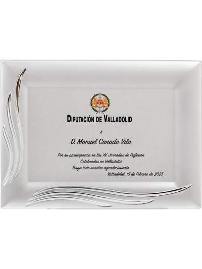 25/26 SOLO PLACA. 20 x 15 CM (E48)(MAD62, MAD13,MAD142,MAD83,MAD52, MAD93)